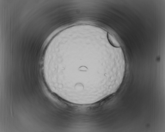 X0000115730955200912241623