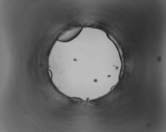 X0000115730961200912241623
