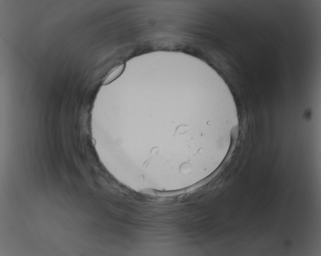 X0000115730964200912241623