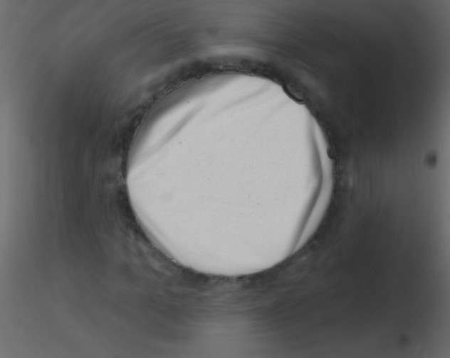 X0000115730965200912241623