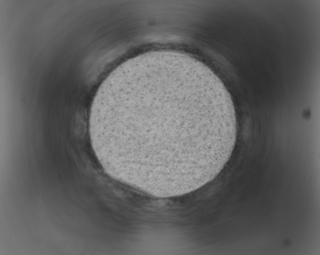 X0000115730966200912241623