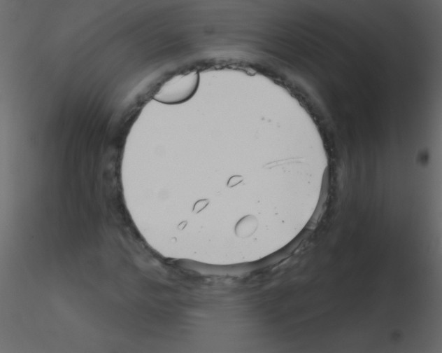 X0000115730968200912241623