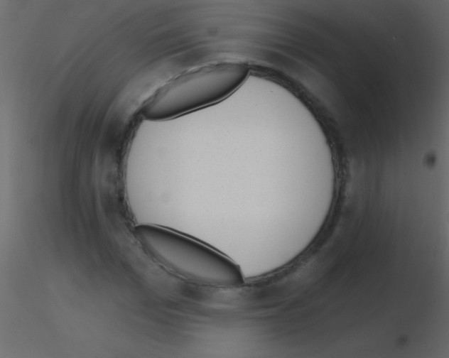X0000115730969200912241623