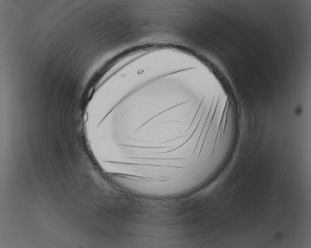 X0000115730973200912241623