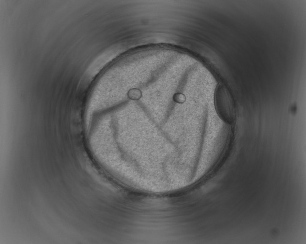 X0000115730977200912241623