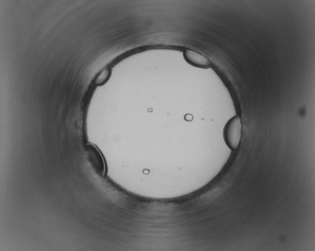 X0000115730981200912241623