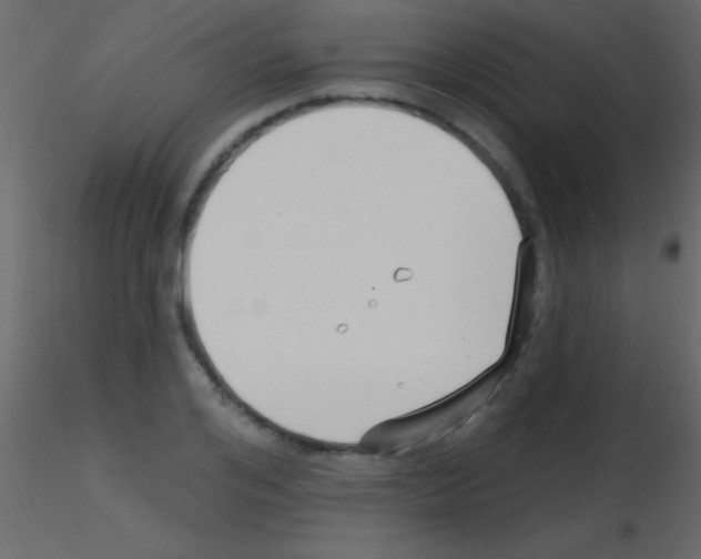 X0000115730984200912241622