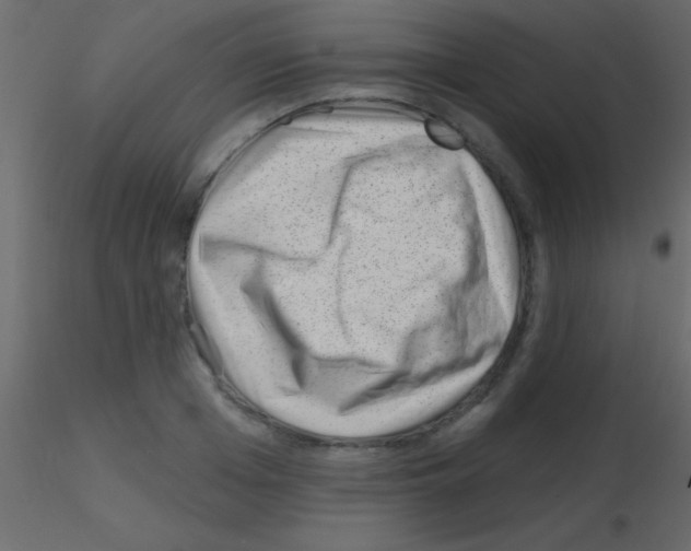 X0000115730985200912241622