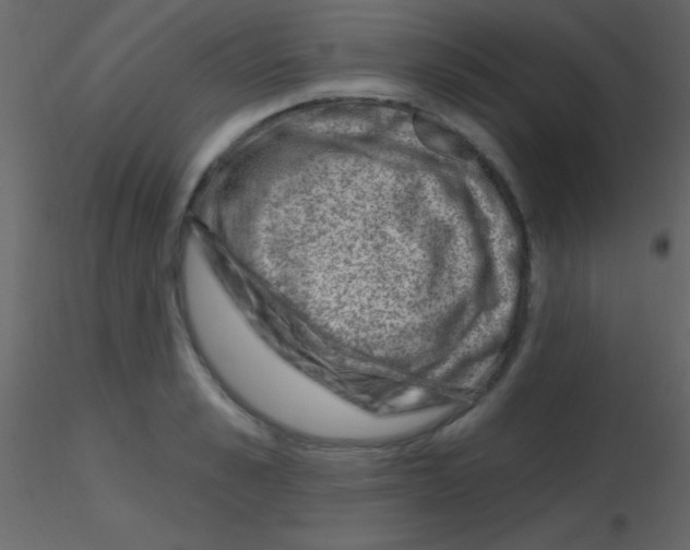 X0000115730989200912241622
