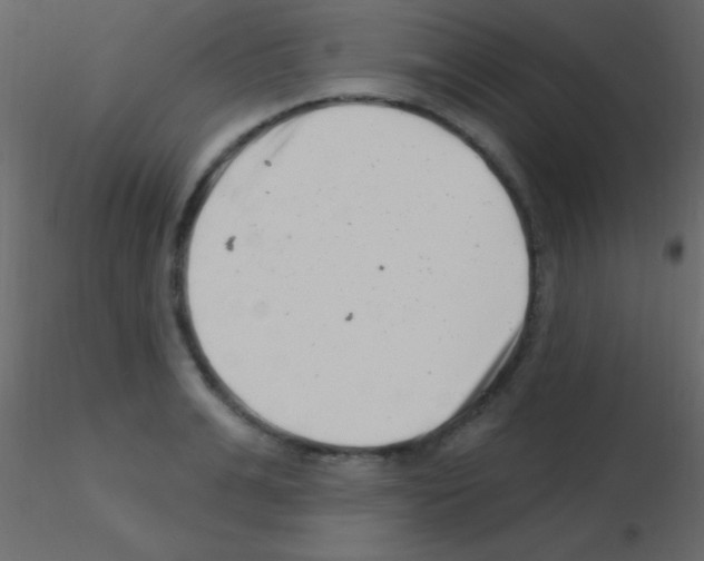 X0000115730991200912241622