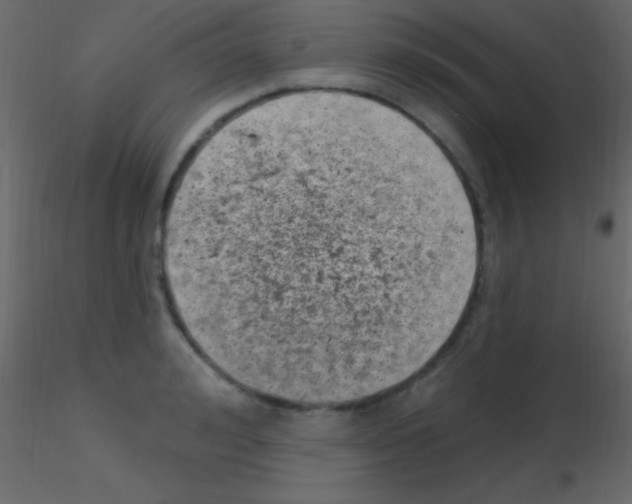 X0000115730992200912241622