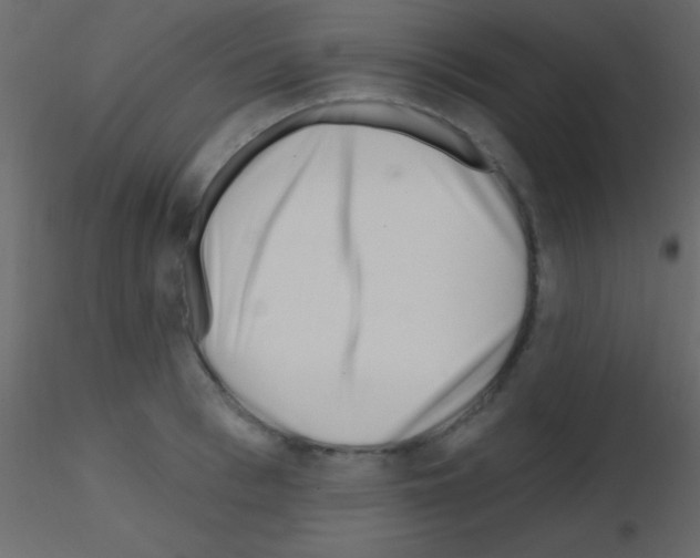 X0000115730993200912241622