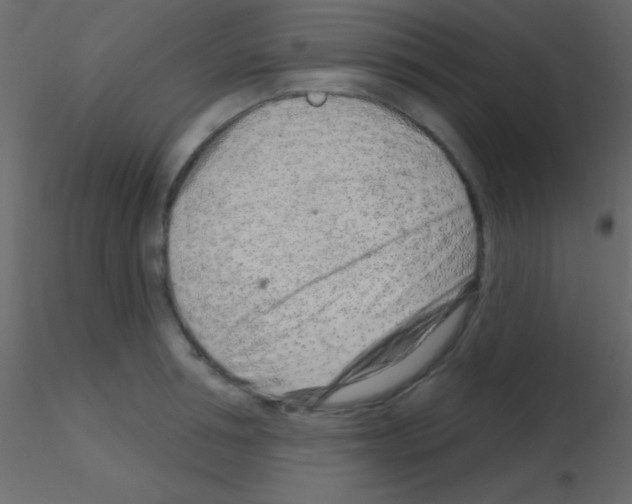 X0000115730994200912241622