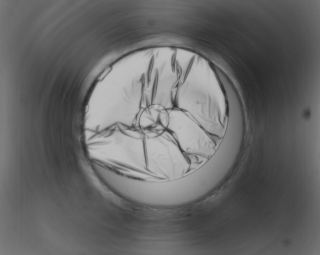 X0000115730997200912241622