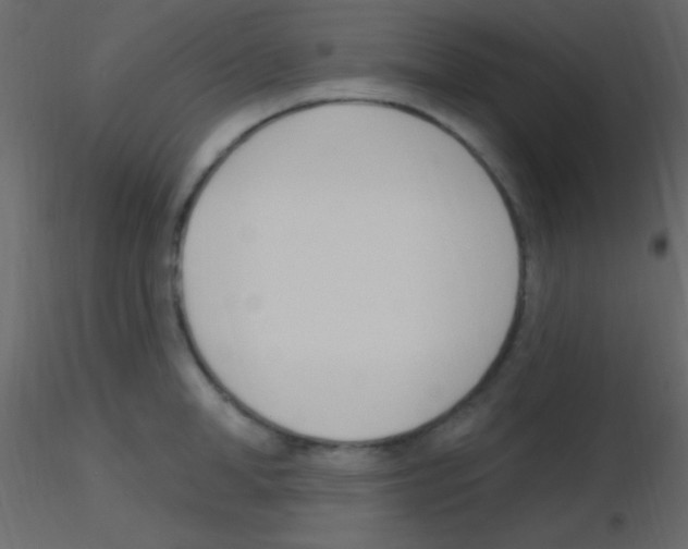 X0000115730998200912241622