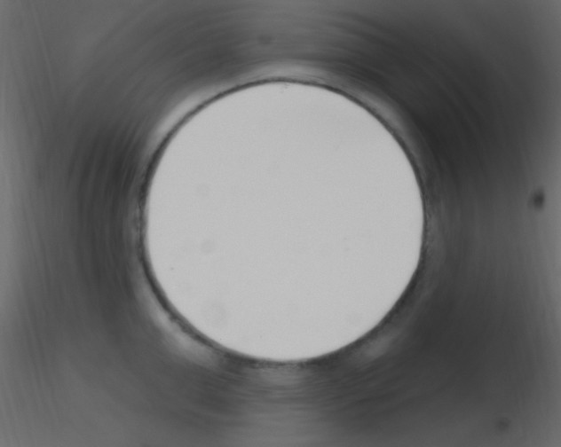 X0000115730999200912241622