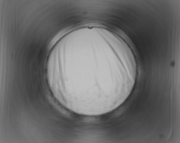 X0000115731002200912241622