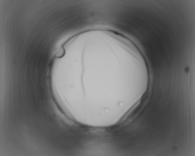 X0000115731006200912241622