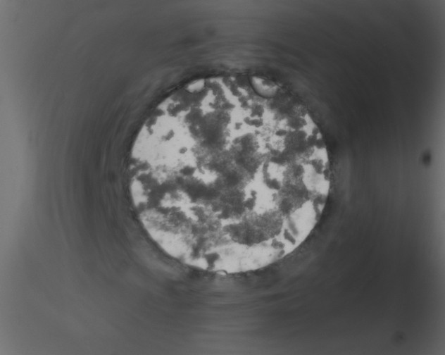 X0000115731009200912241621