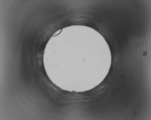 X0000115731010200912241622