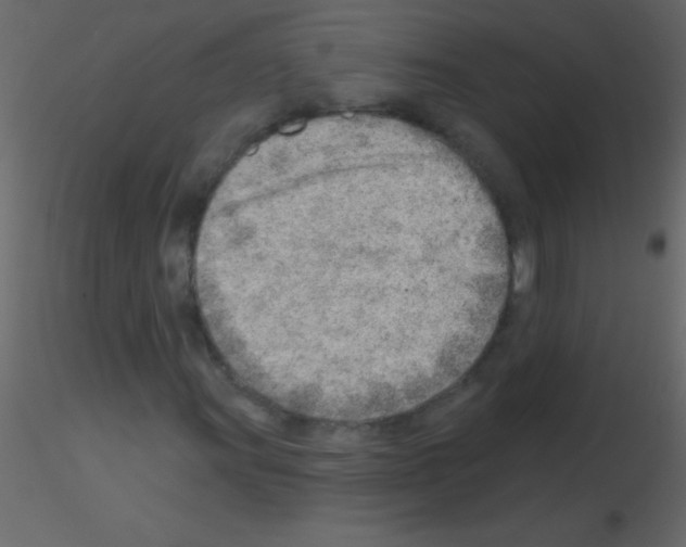 X0000115731011200912241622