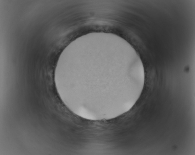 X0000115731013200912241622
