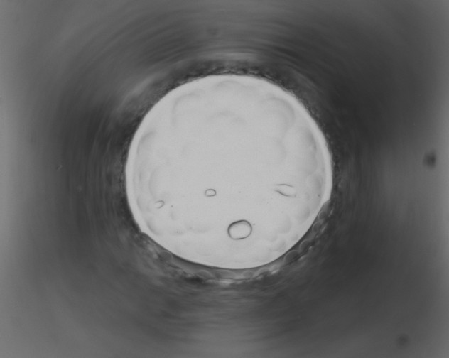 X0000115731014200912241622