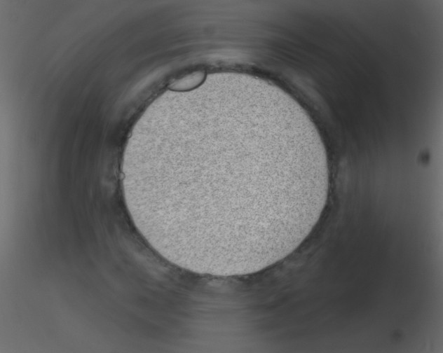 X0000115731015200912241622