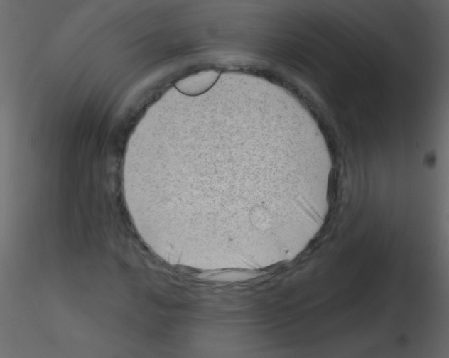 X0000115731016200912241622