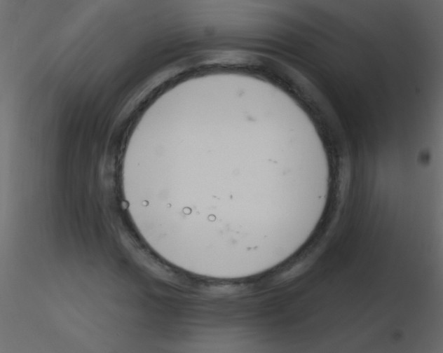 X0000115731017200912241622