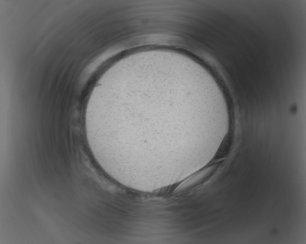 X0000115731019200912241622