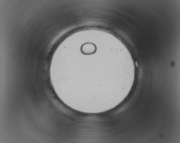 X0000115731021200912241622
