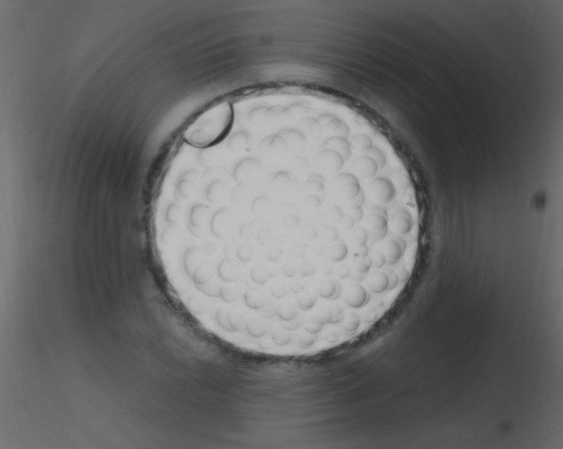 X0000115731022200912241622