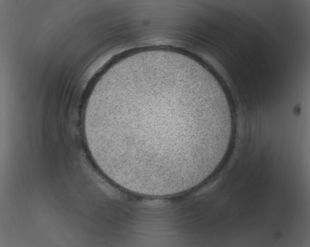 X0000115731023200912241622