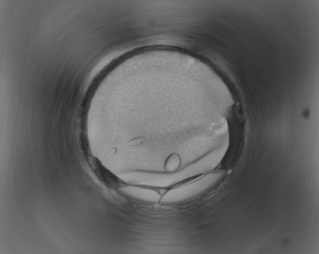 X0000115731024200912241622