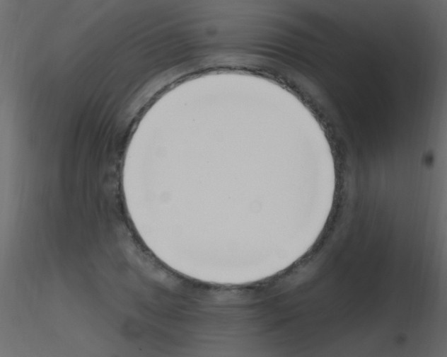 X0000115731025200912241622