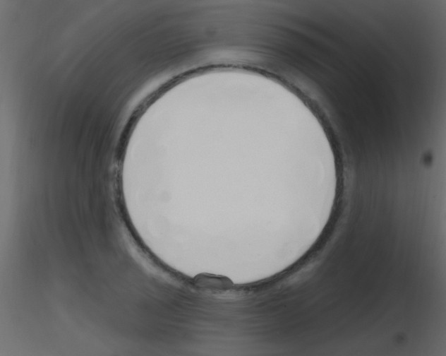 X0000115731029200912241622