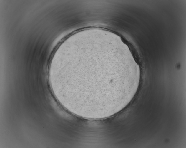 X0000115731032200912241622