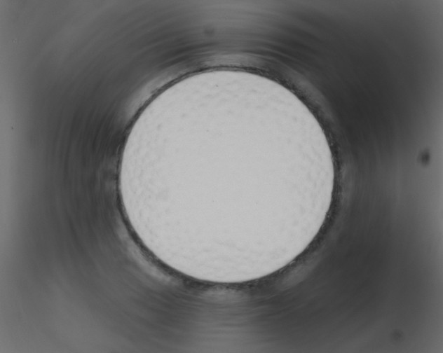 X0000115731033200912241622