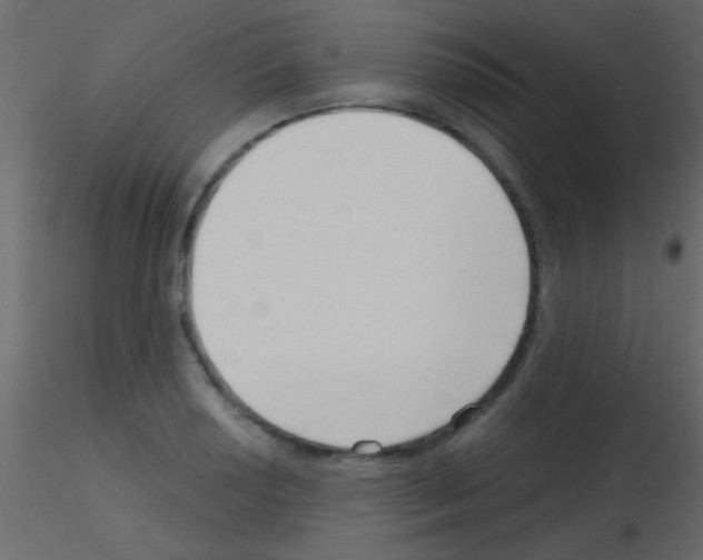 X0000115731034200912241622
