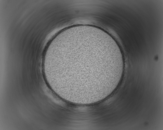 X0000115731035200912241622