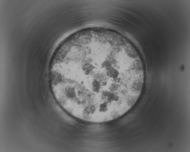 X0000115731037200912241622
