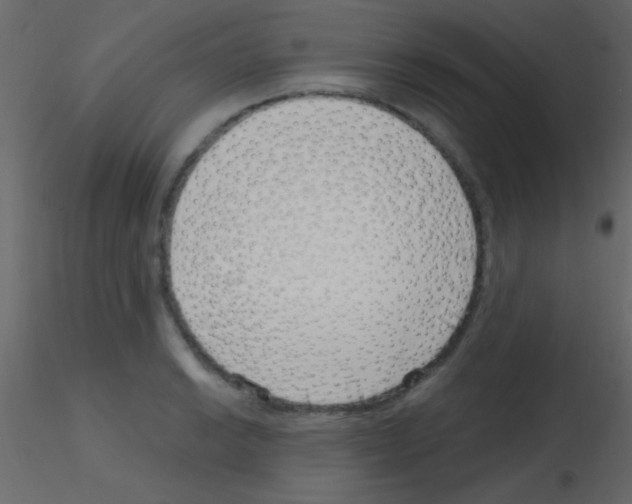 X0000115731038200912241622