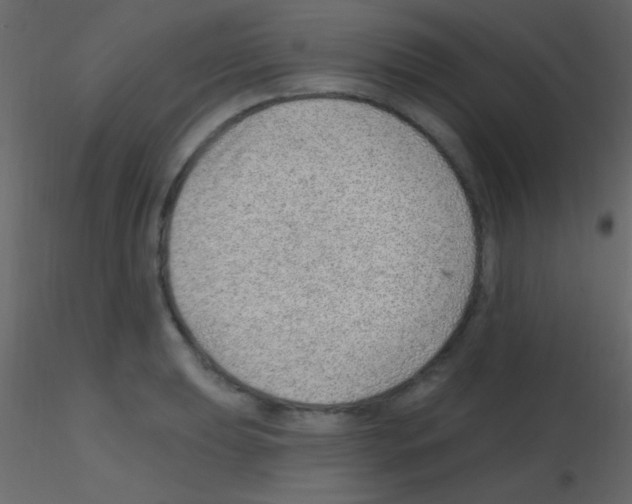 X0000115731039200912241622