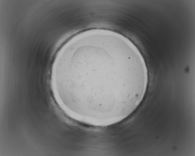 X0000115731040200912241622