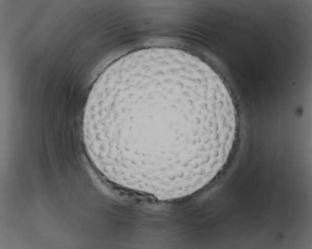 X0000115731041200912241622