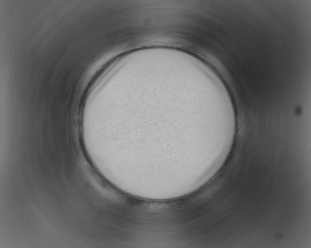 X0000115731043200912241622
