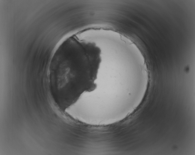 X0000115731044200912241622