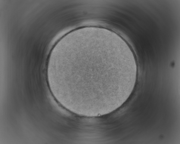 X0000115731045200912241622