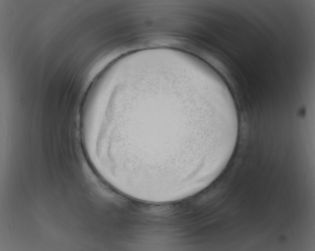 X0000115731047200912241622